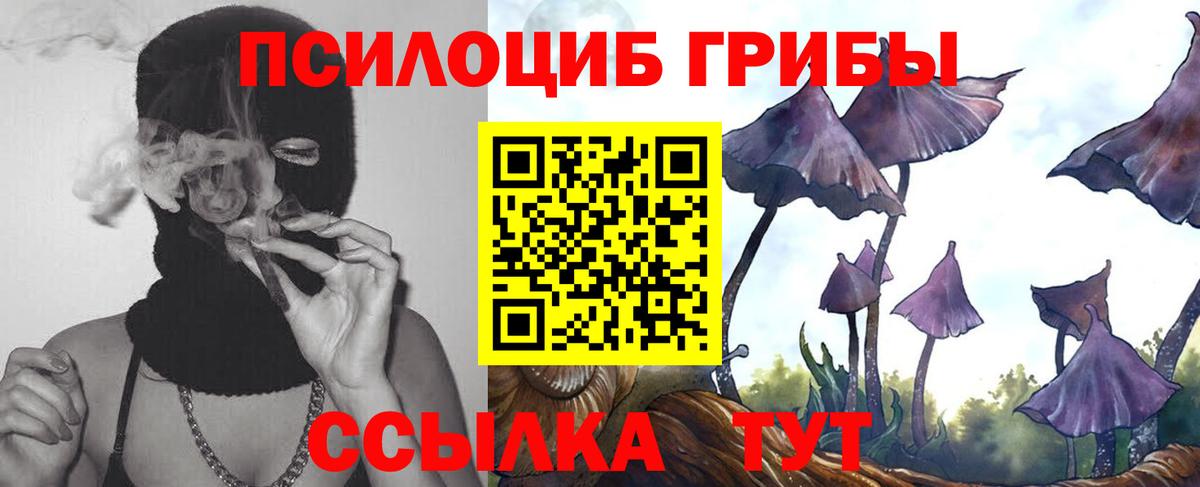 Галлюциногенные грибы Psilocybe  Вход с VPN  Галлюциногенные грибы Psilocybe  Отрадное 