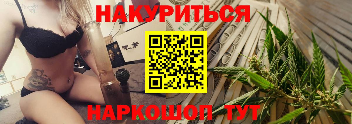 Каннабис конопля Отрадное